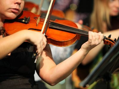StringSection StringSection